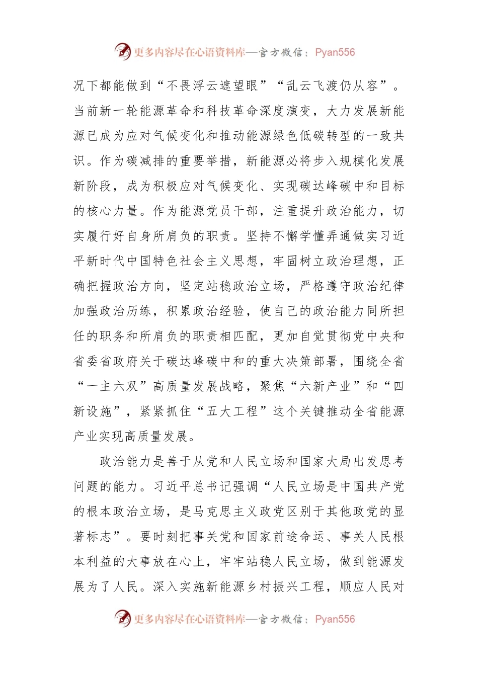 2024年专题党课：锚定双碳目标着力提升“三个能力”坚决扛起能源高质量发展重任.docx_第2页