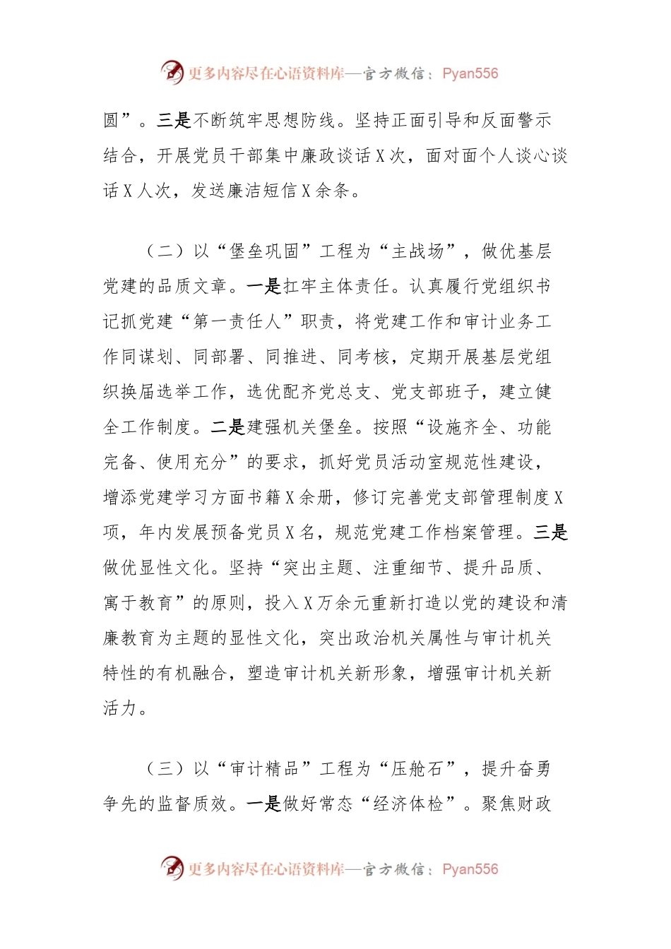 2023年度抓基层党建工作述职和述责述廉报告（审计局）.docx_第2页