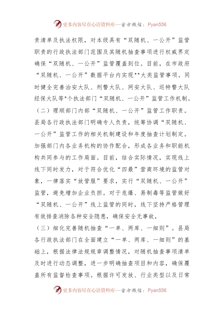 2023年第一季度“双随机、一公开”监管工作总结（公安局）.docx_第2页