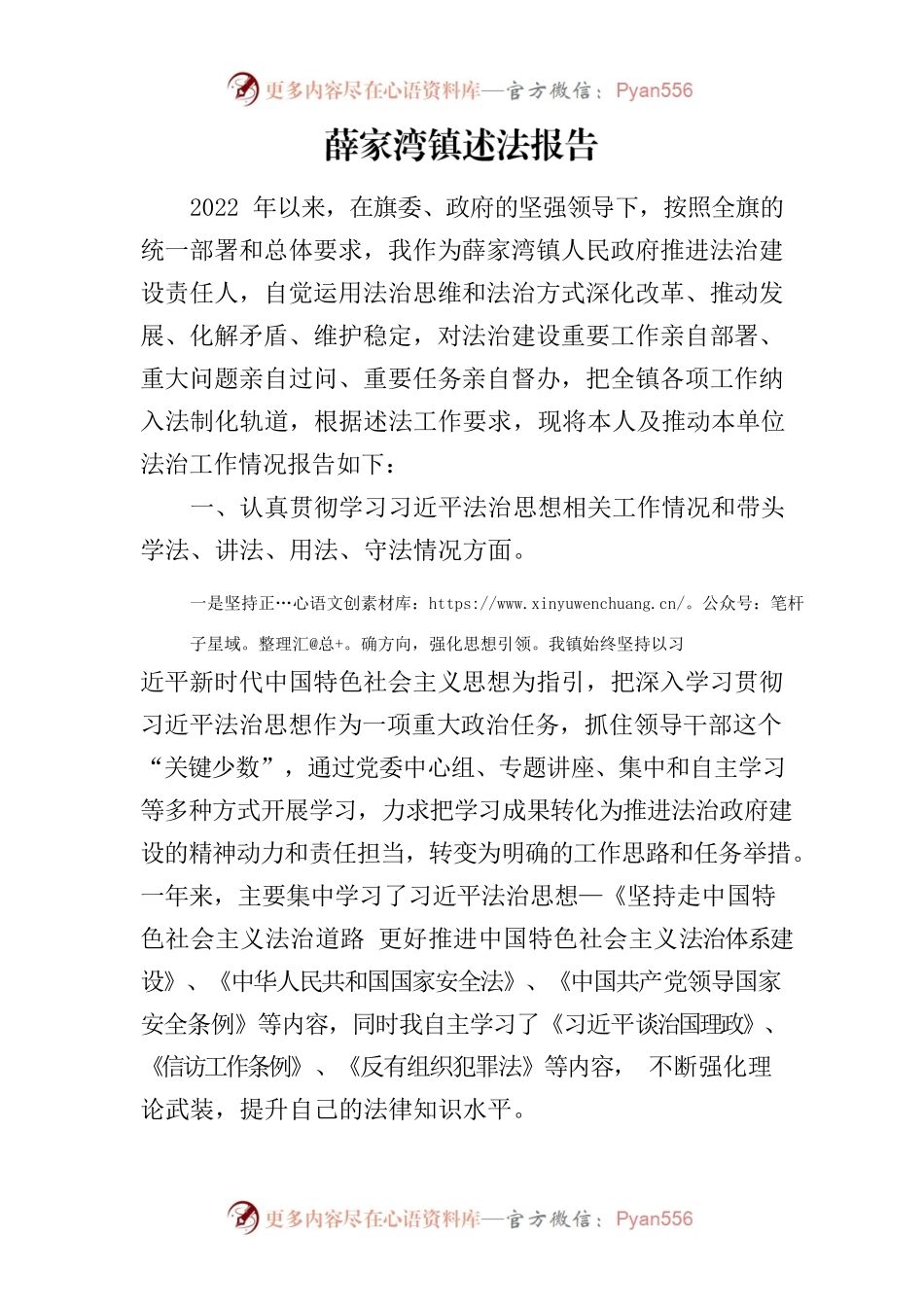 xxx镇述法报告.docx_第1页