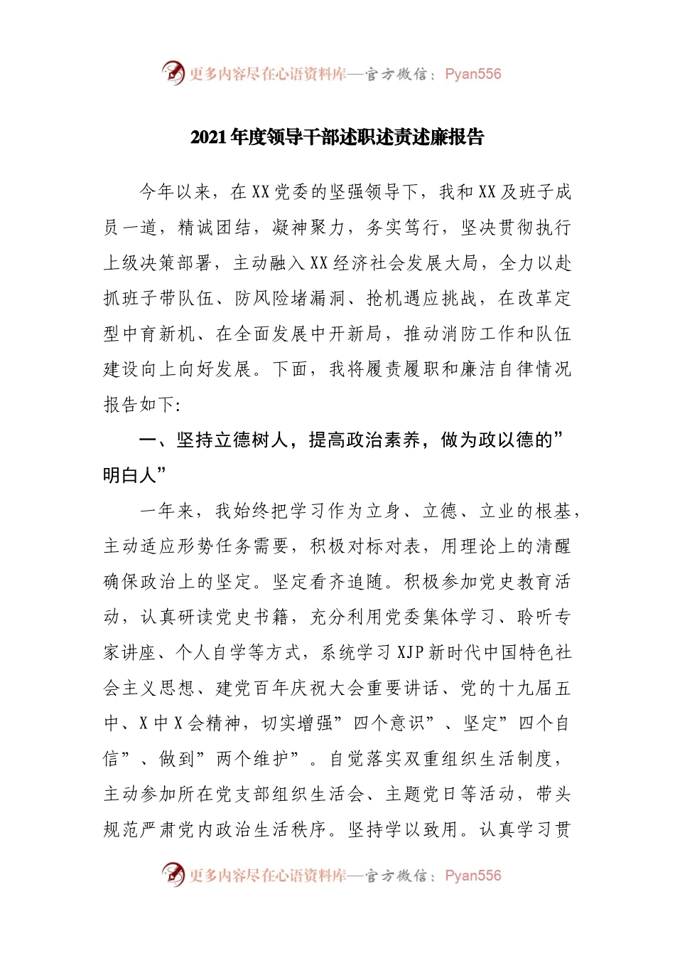 202X年度领导干部述职述责述廉报告.docx_第1页