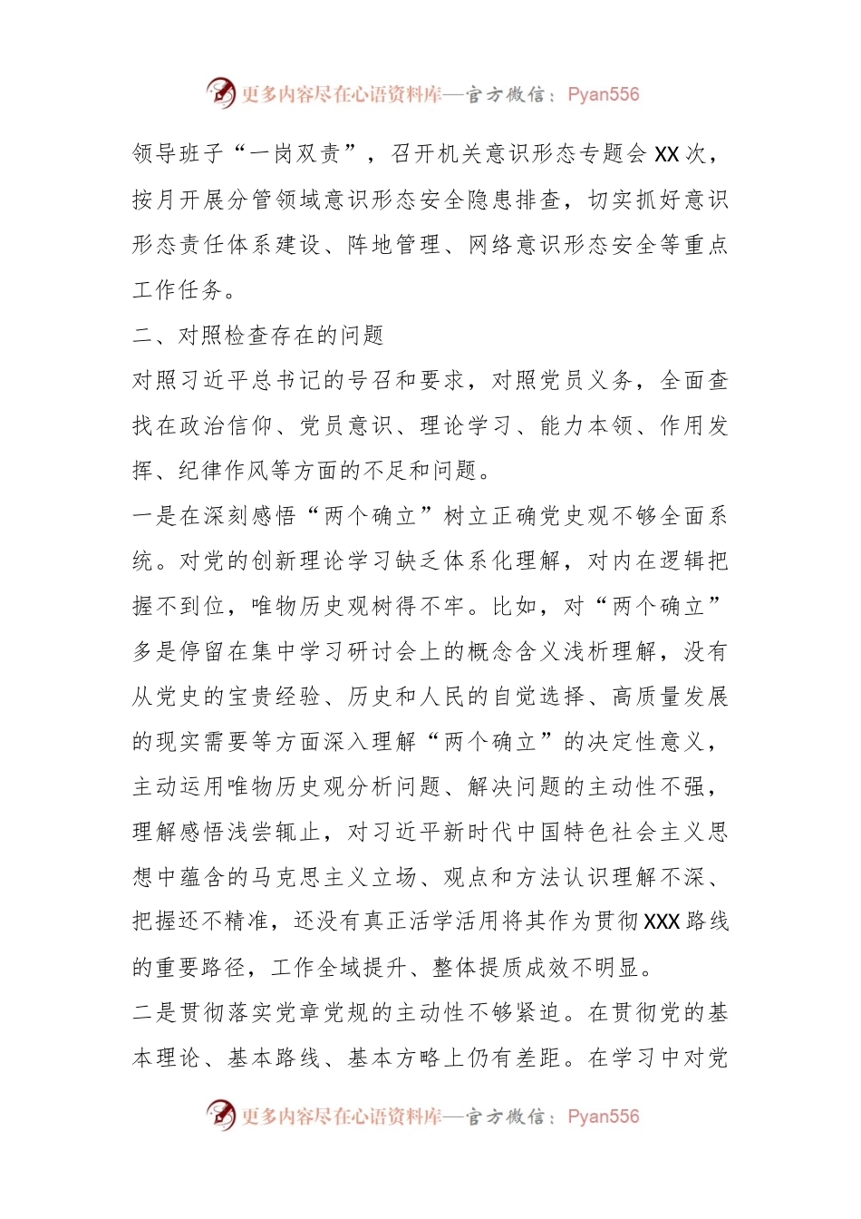2023年度党支部副职组织生活会个人对照检查发言提纲.docx_第2页