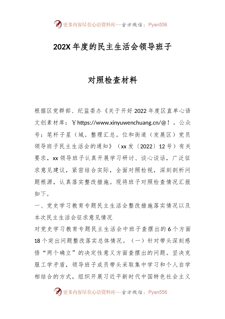 202X年度的民主生活会领导班子对照检查材料.docx_第1页