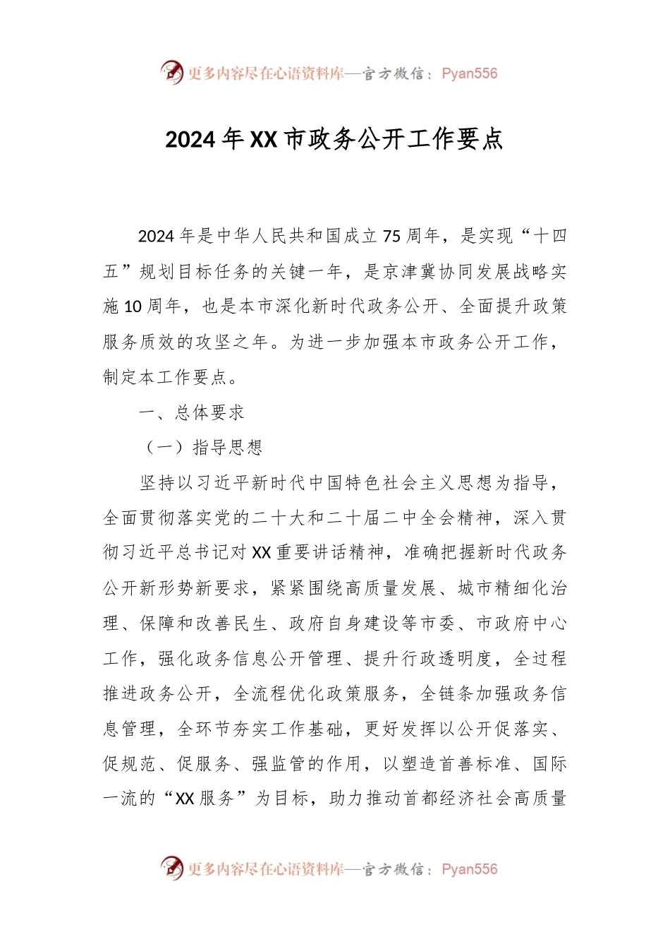 2024年XX市政务公开工作要点.docx_第1页