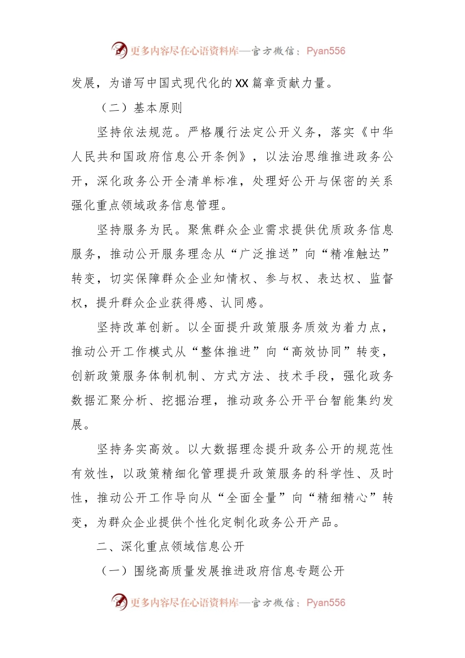 2024年XX市政务公开工作要点.docx_第2页