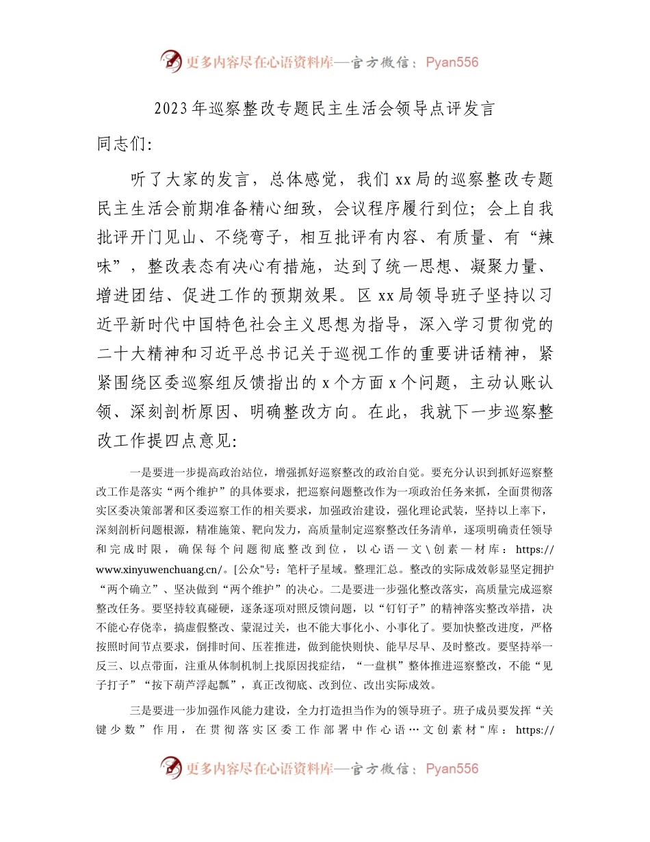 2023年巡察整改专题民主生活会领导点评发言1300字.docx_第1页