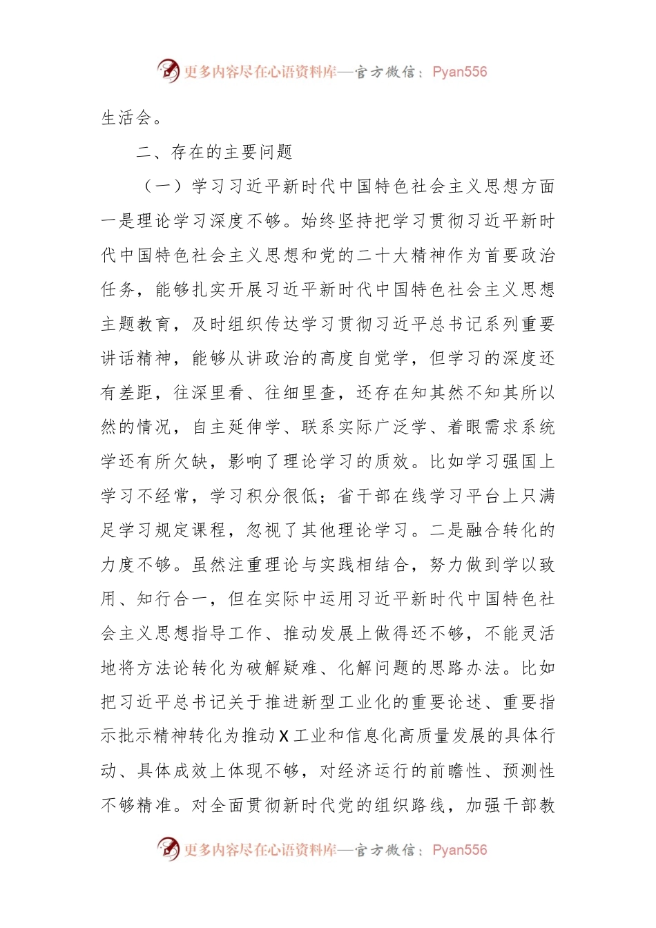 2023班子成员主题教育专题民主生活会发言稿提纲（践行宗旨新六个方面+政绩观+意识形态）.docx_第2页