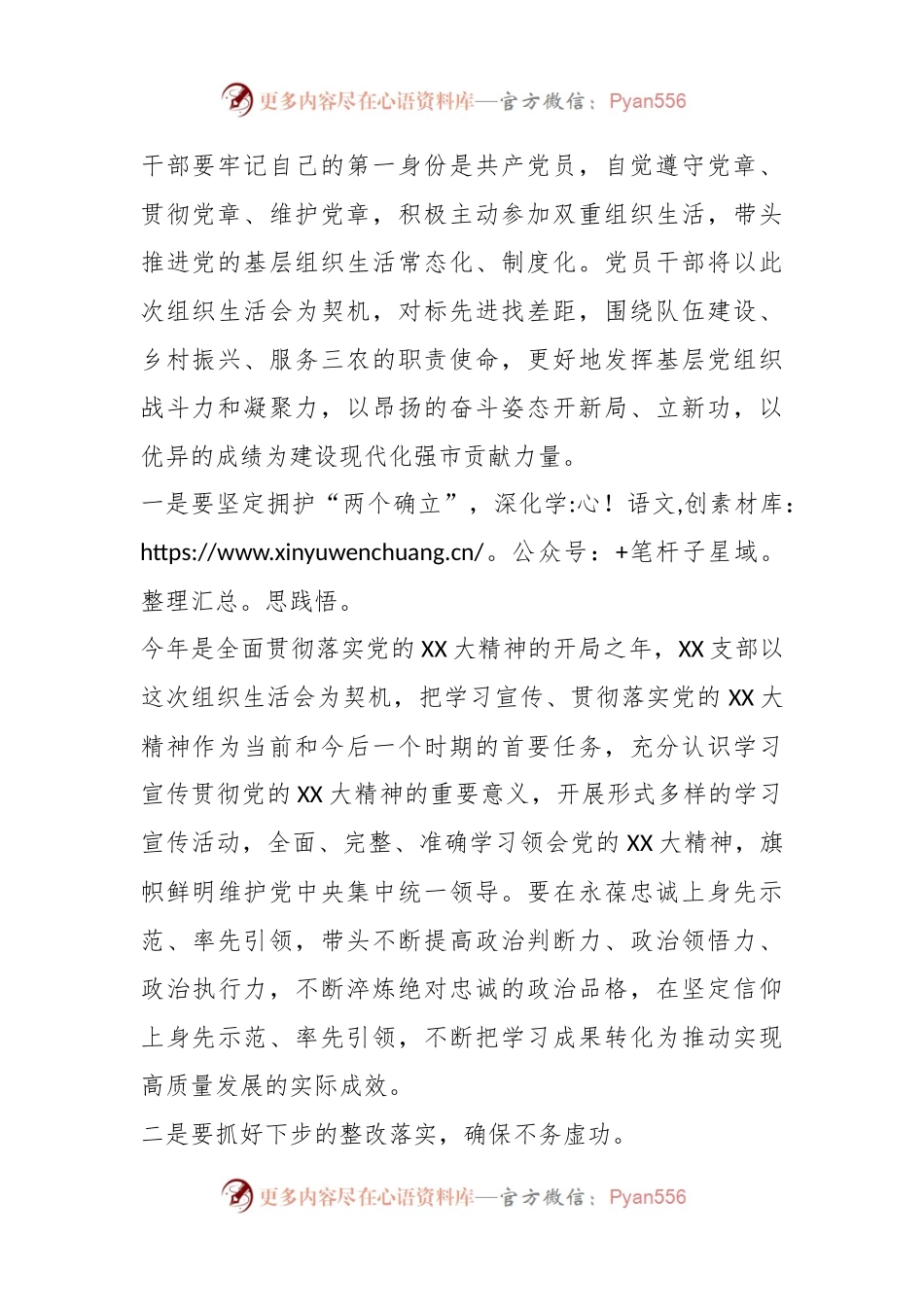 XX基层支部上年度基层支部组织生活会总结讲话.docx_第2页