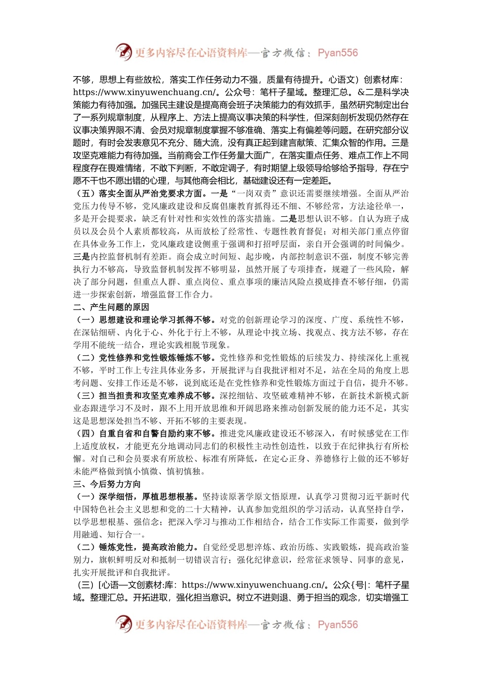 2024年度商会支部书记组织生活会对照检查材料.docx_第2页