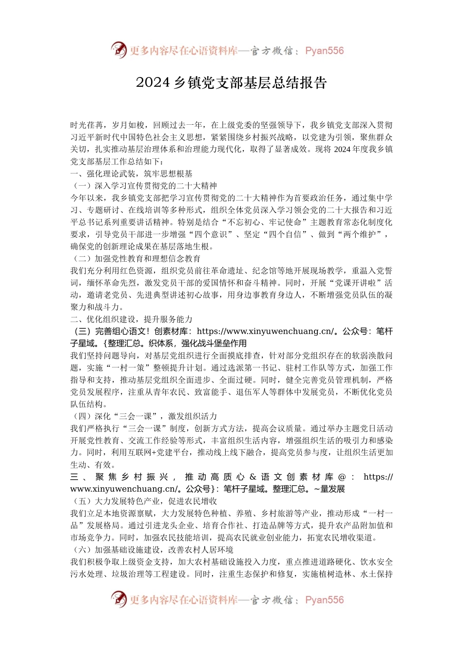 2024乡镇党支部基层总结报告.docx_第1页
