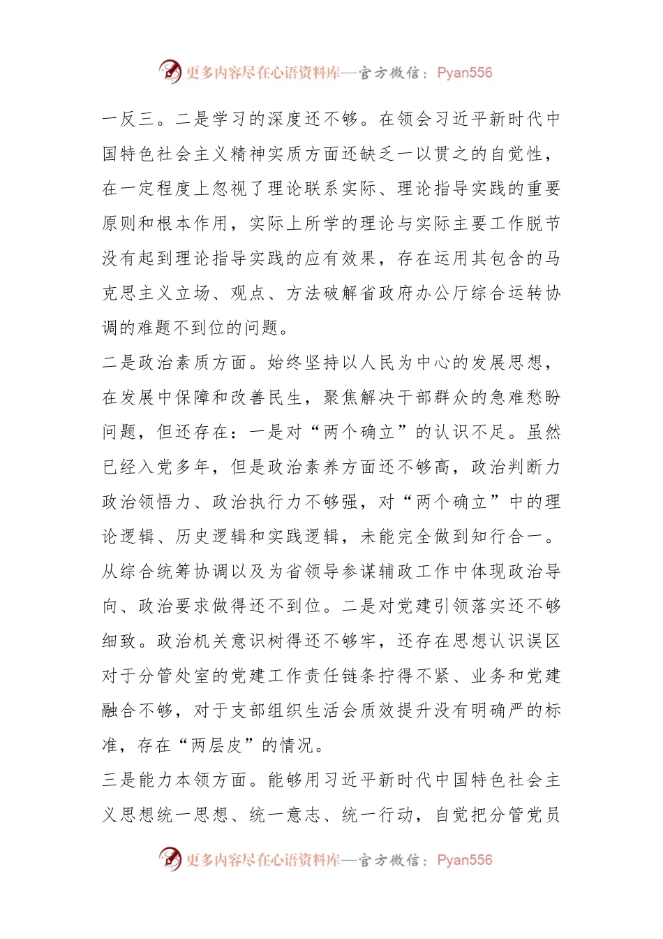 2023年班子成员主题教育民主生活会个人发言稿提纲.docx_第2页