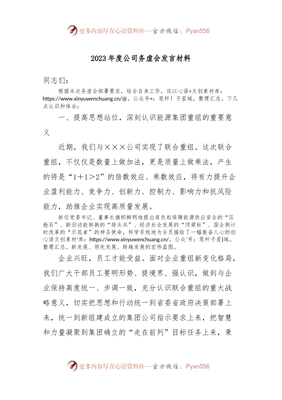 2023年度公司务虚会发言稿材料.docx_第1页