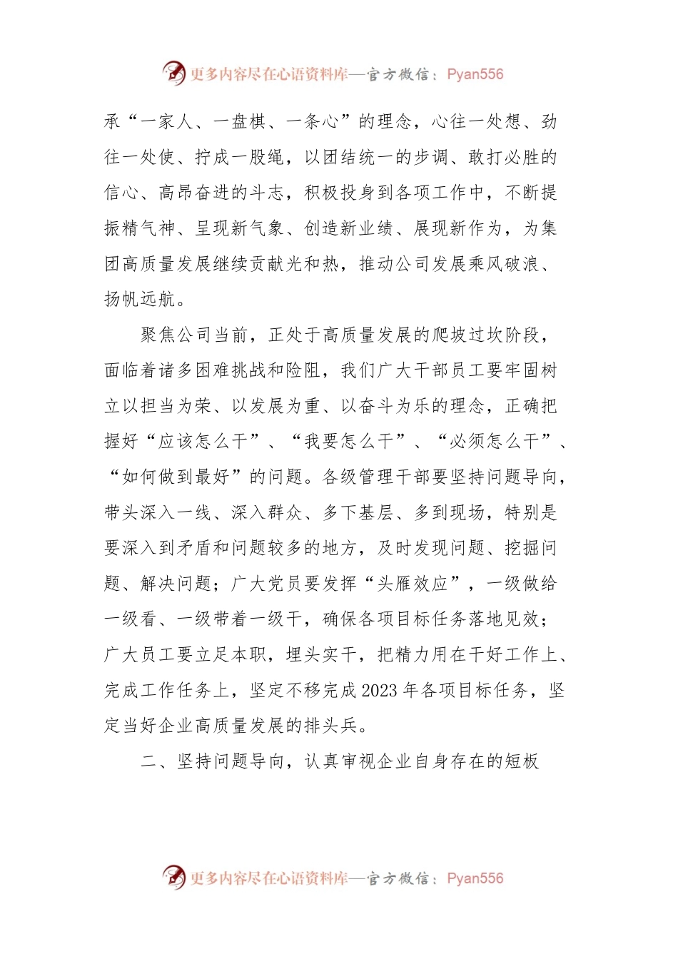 2023年度公司务虚会发言稿材料.docx_第2页