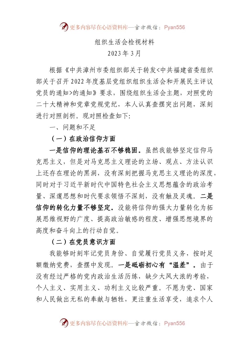 2023年集团公司第一支部组织生活会检视材料.docx_第1页