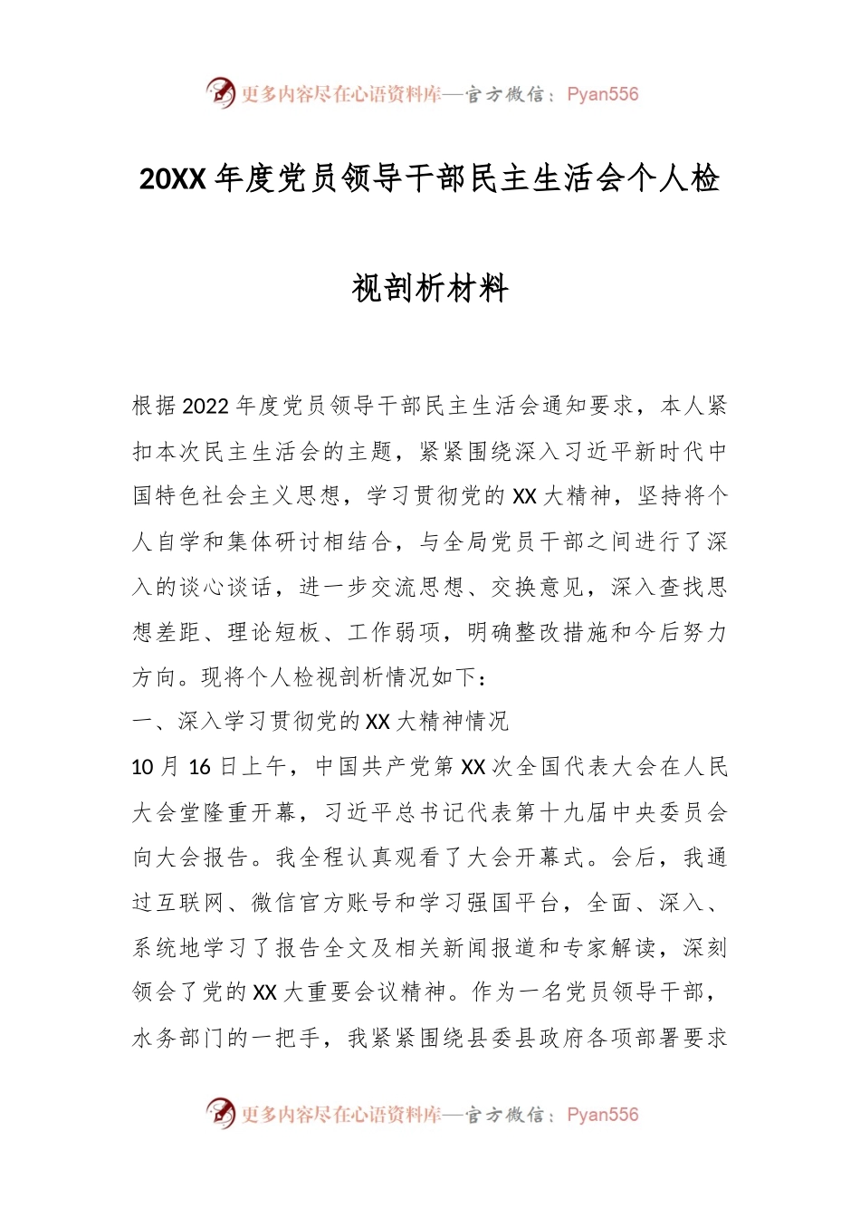 20XX年度党员领导干部民主生活会个人检视剖析材料.docx_第1页