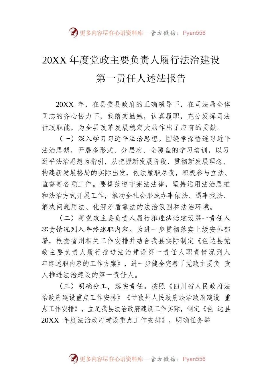 20XX年度党政主要负责人履行法治建设第一责任人述法报告（20220628）.docx_第1页