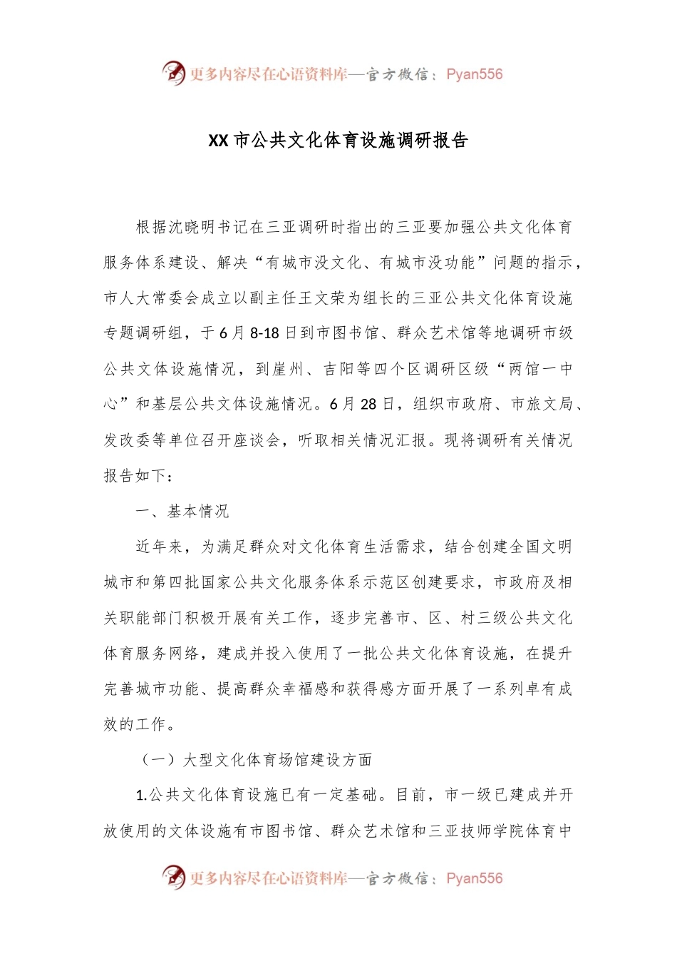XX市公共文化体育设施调研报告.docx_第1页