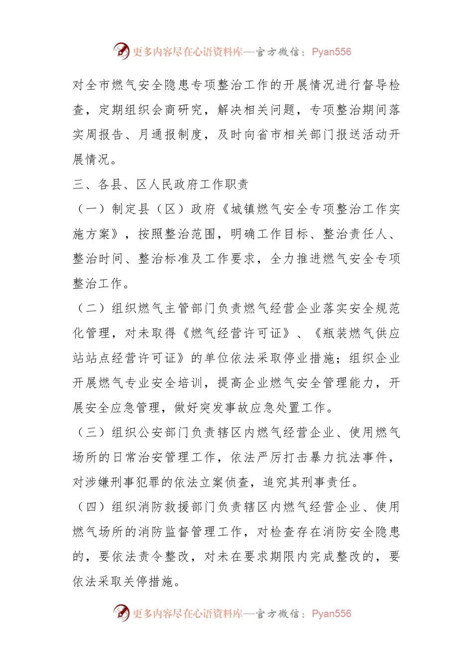 XX市城镇燃气安全排查整治专班工作领导小组及实施方案.docx_第2页