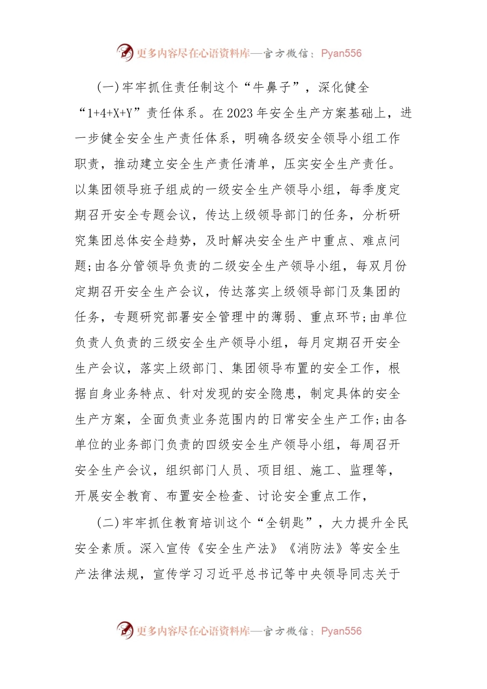 2023年安全生产工作方案.docx_第2页