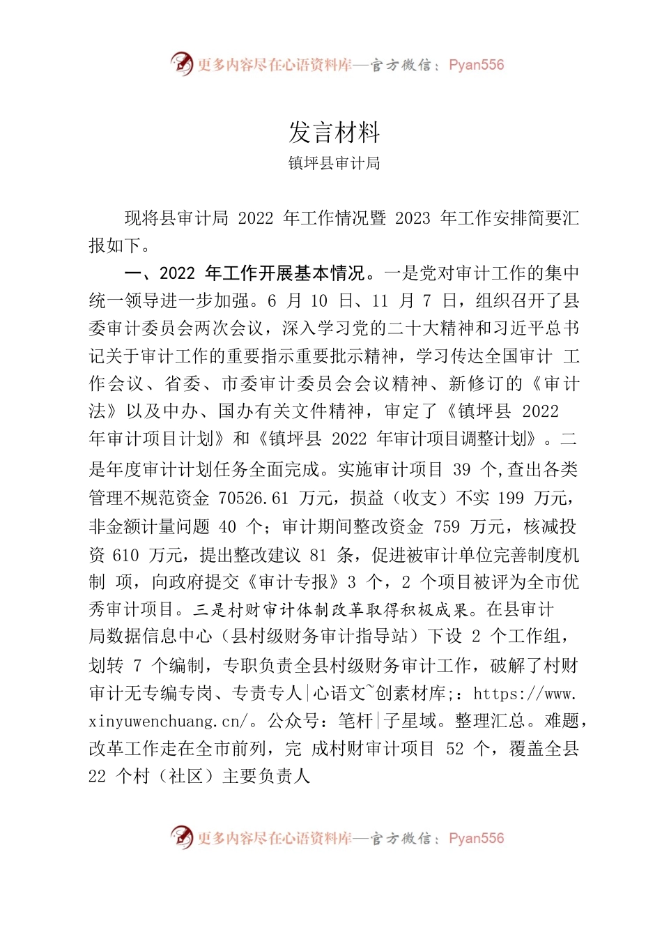 2023年审计委员会发言材料(审计局).docx_第1页