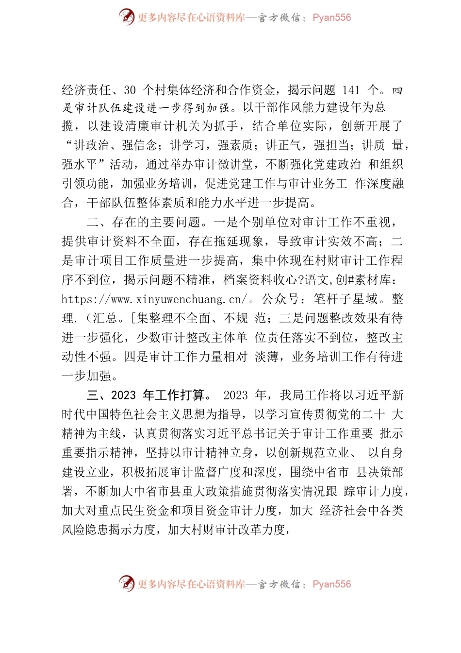 2023年审计委员会发言材料(审计局).docx_第2页
