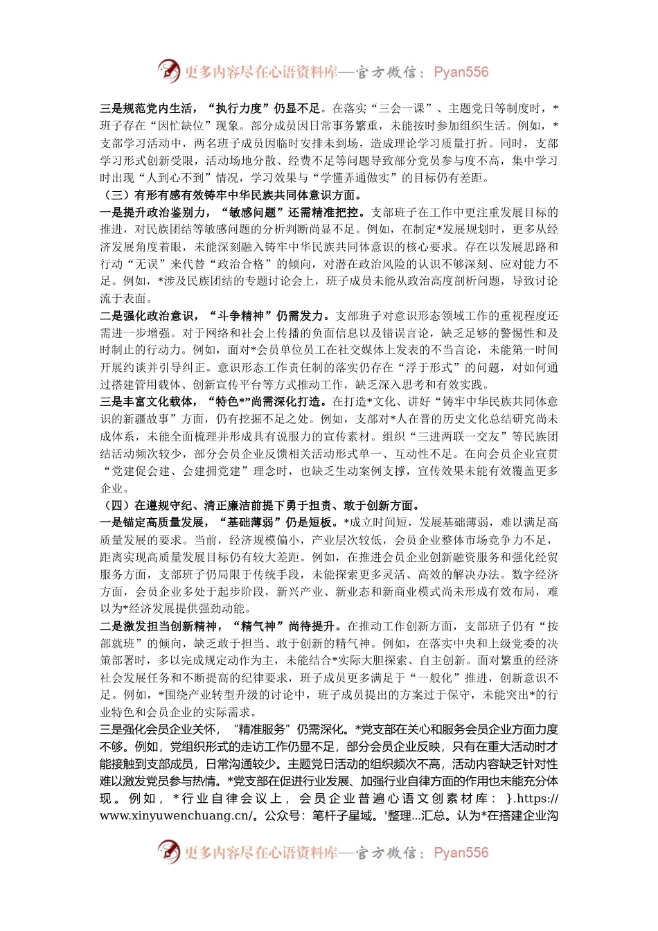 2024年组织生活会支部班子对照检查材料.docx_第2页