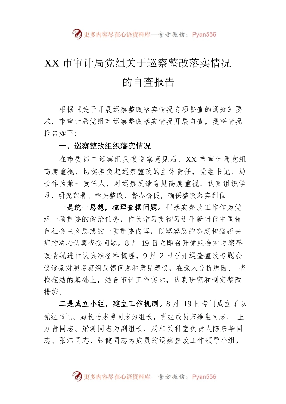 XX市审计局党组关于巡察整改落实情况的自查报告.docx_第1页