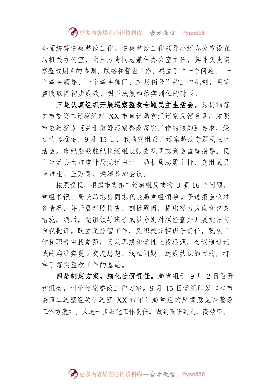 XX市审计局党组关于巡察整改落实情况的自查报告.docx_第2页