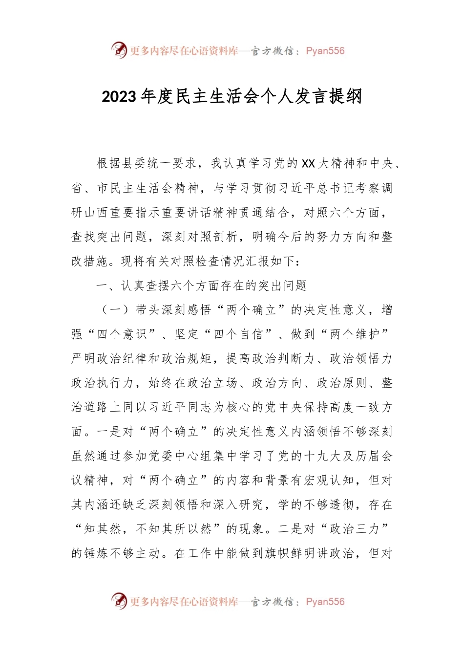 2023年度民主生活会个人发言稿提纲.docx_第1页