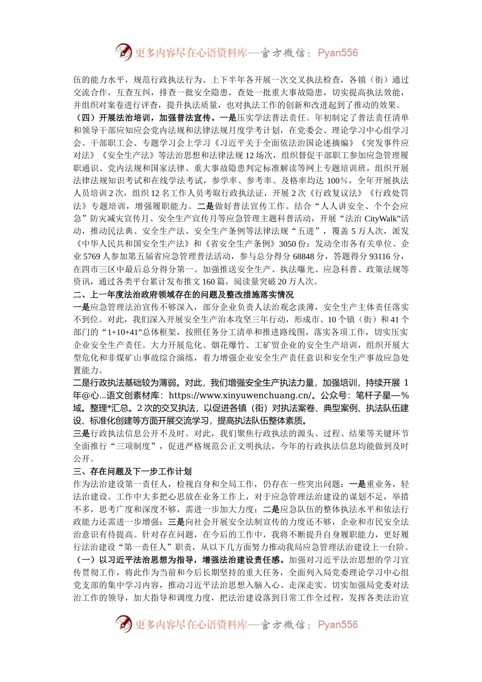 2024 年市应急管理局主要负责人履行推进法治建设第一责任人职责情况述职报告.docx_第2页