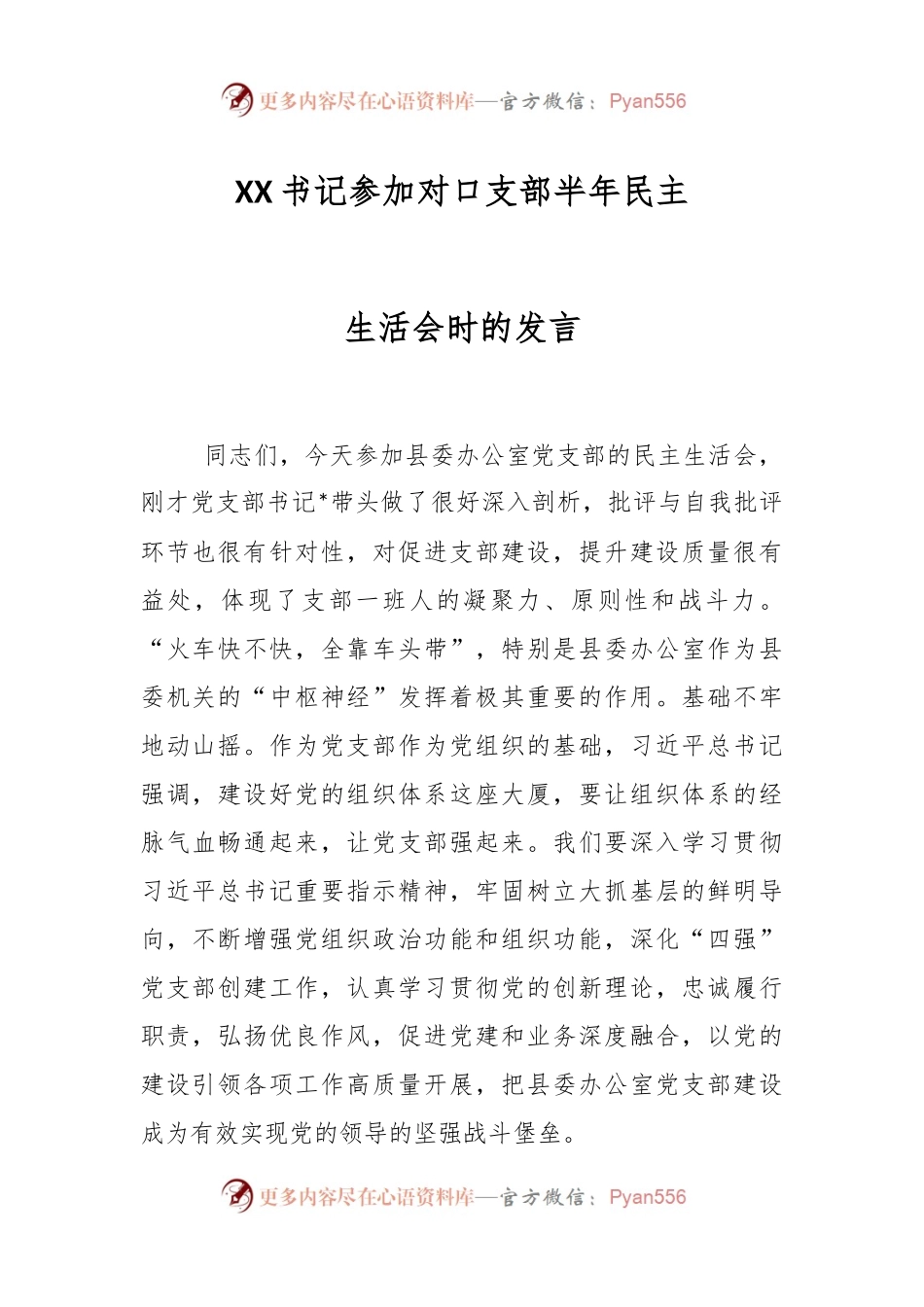XX书记参加对口支部半年民主生活会时的发言.docx_第1页