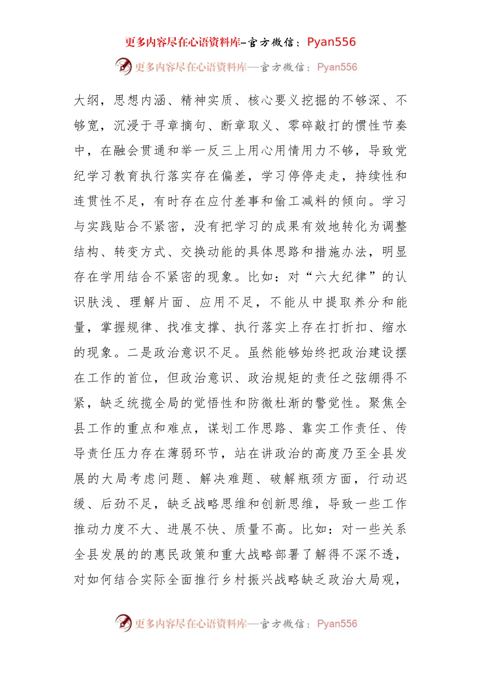 2024年度民主生活会“四个带头”个人对照检查材料（5320字）.docx_第2页