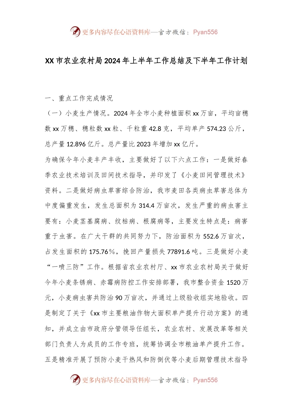 XX市农业农村局2024年上半年工作总结及下半年工作计划.docx_第1页