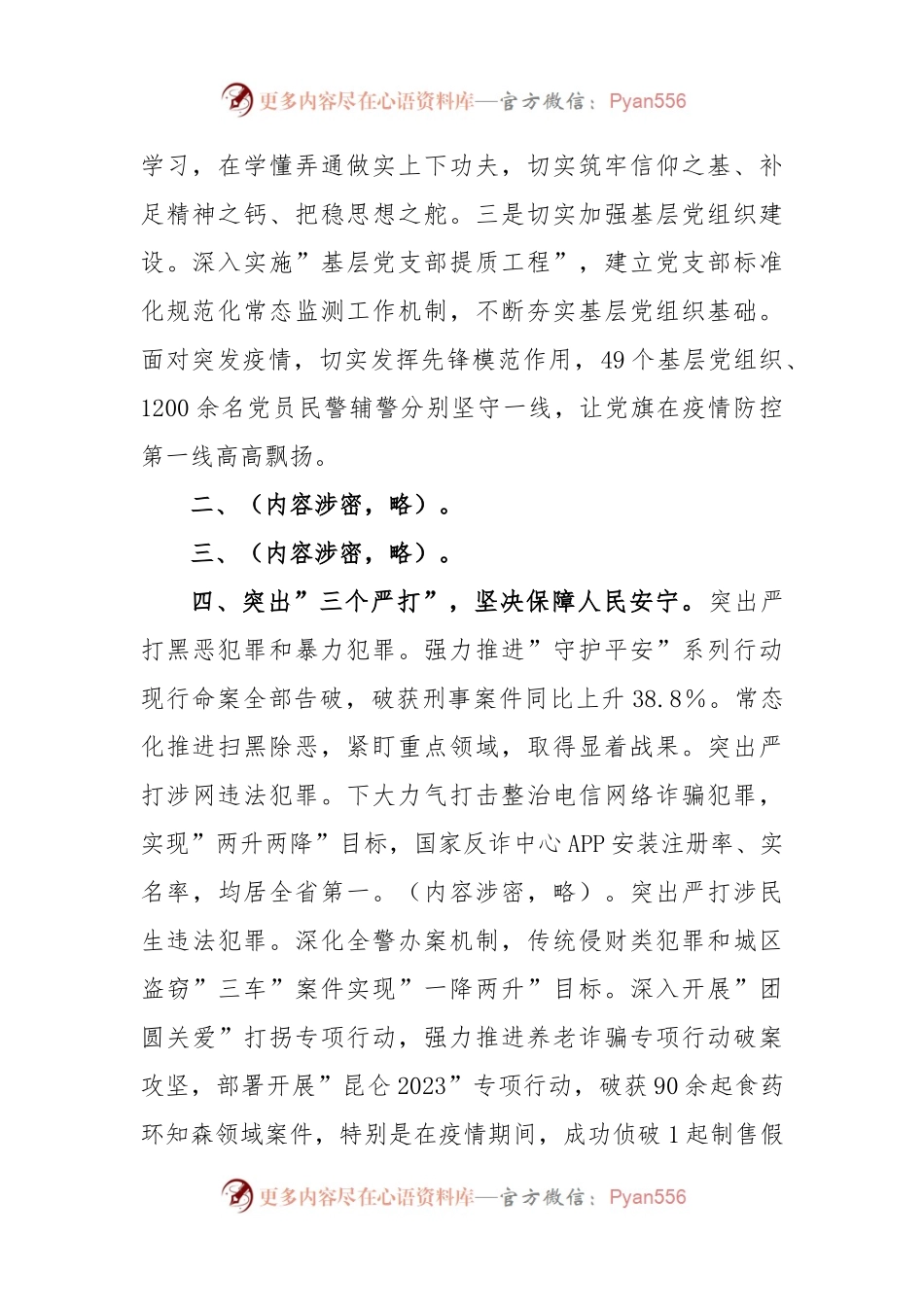 xx市公安局2023年上半年工作总结.docx_第2页