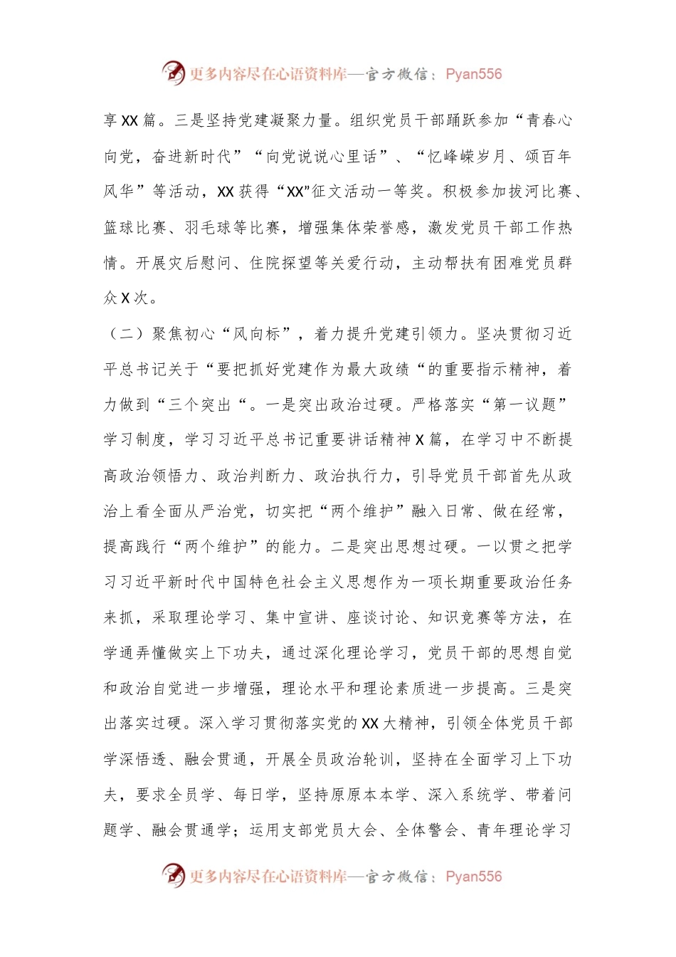 2024年党支部书记党建工作述职报告.docx_第2页