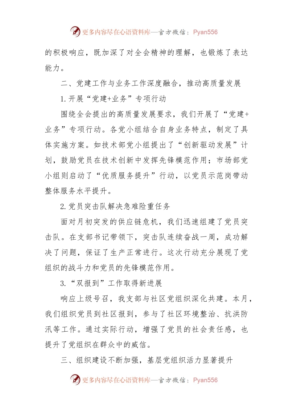 2024年7月党支部工作总结.docx_第2页