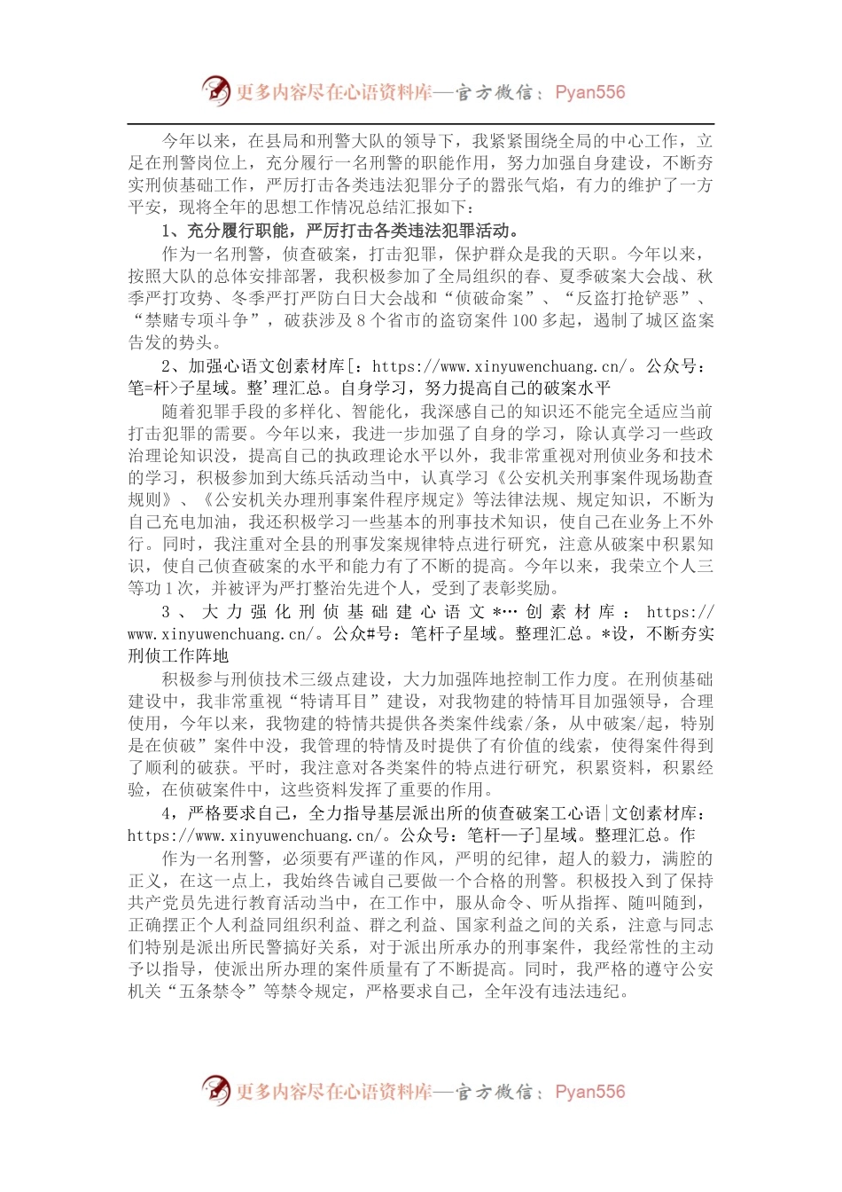 202X年个人工作总结（公安）.docx_第1页