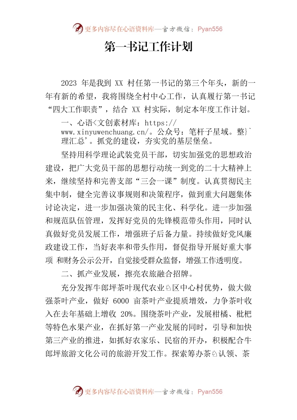 2023年第一书记工作计划.docx_第1页