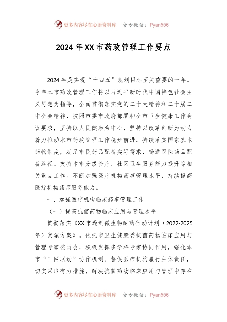 2024年XX市药政管理工作要点.docx_第1页
