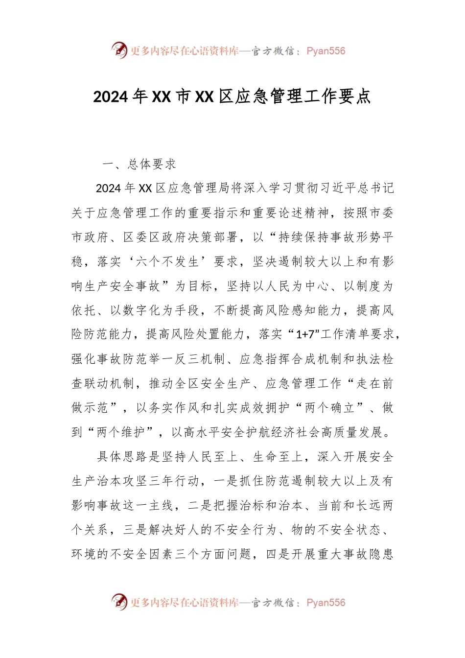 2024年XX市XX区应急管理工作要点.docx_第1页