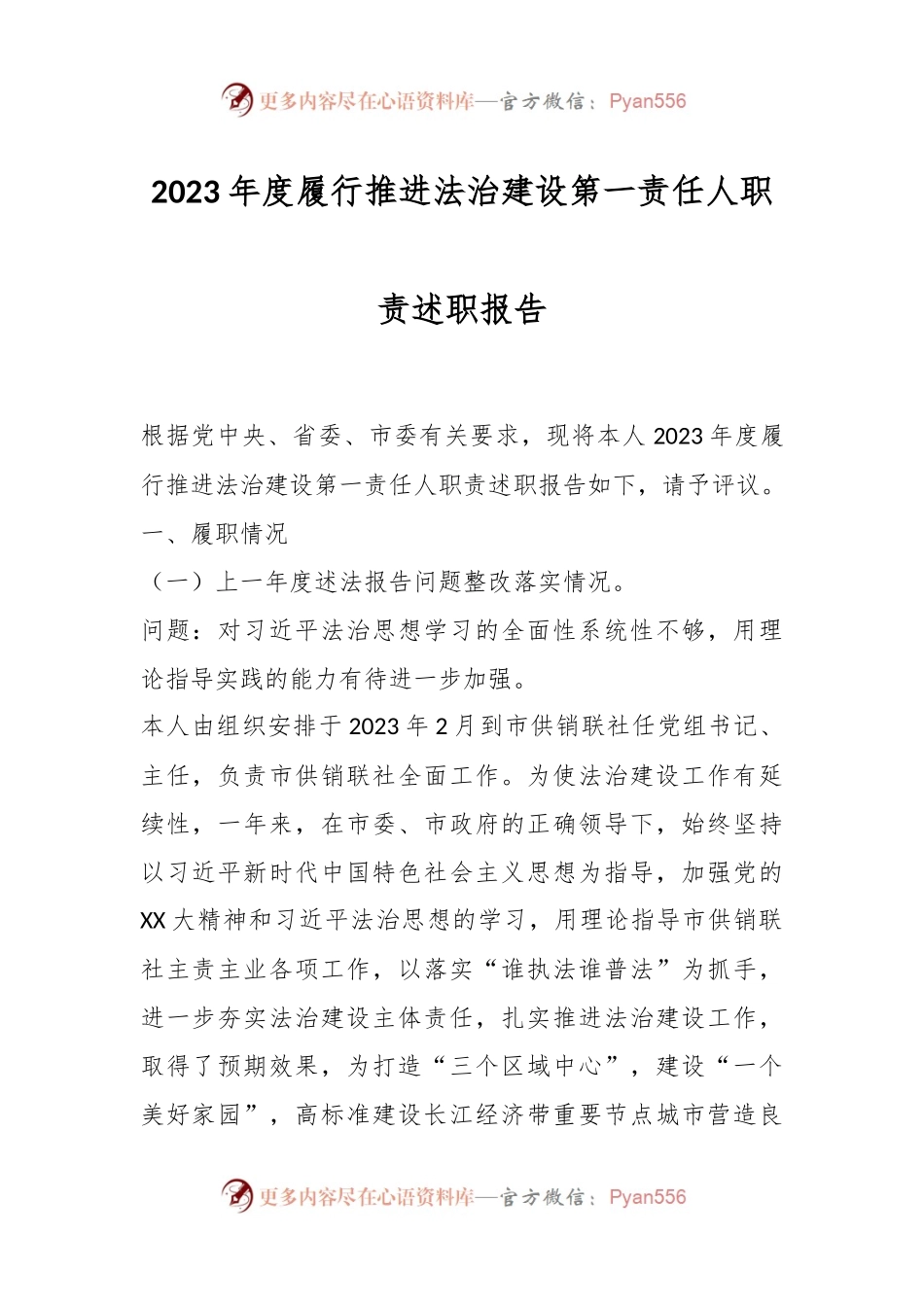 2023年度履行推进法治建设第一责任人职责述职报告.docx_第1页