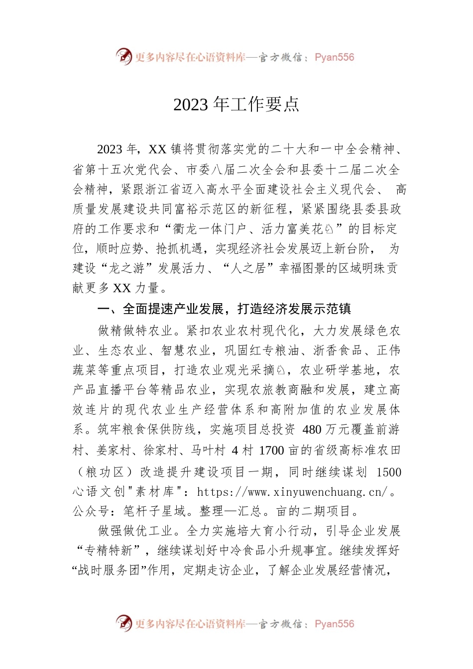 2023年工作要点.docx_第1页