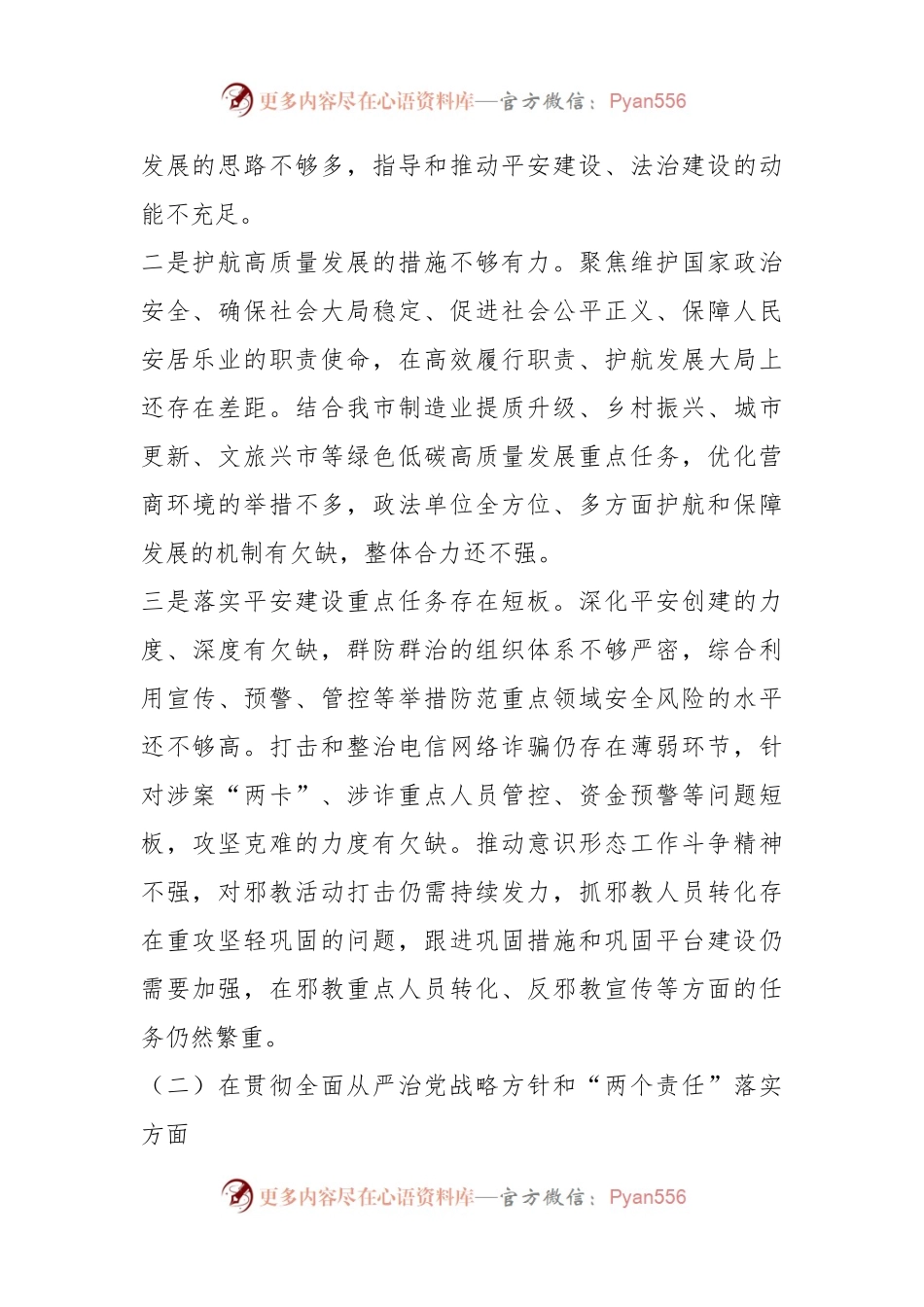 2023年政法委书记巡视整改专题民主生活会个人发言提纲.docx_第2页