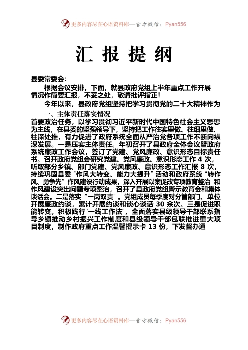 2023年政府党组工作汇报（完整稿）.docx_第1页