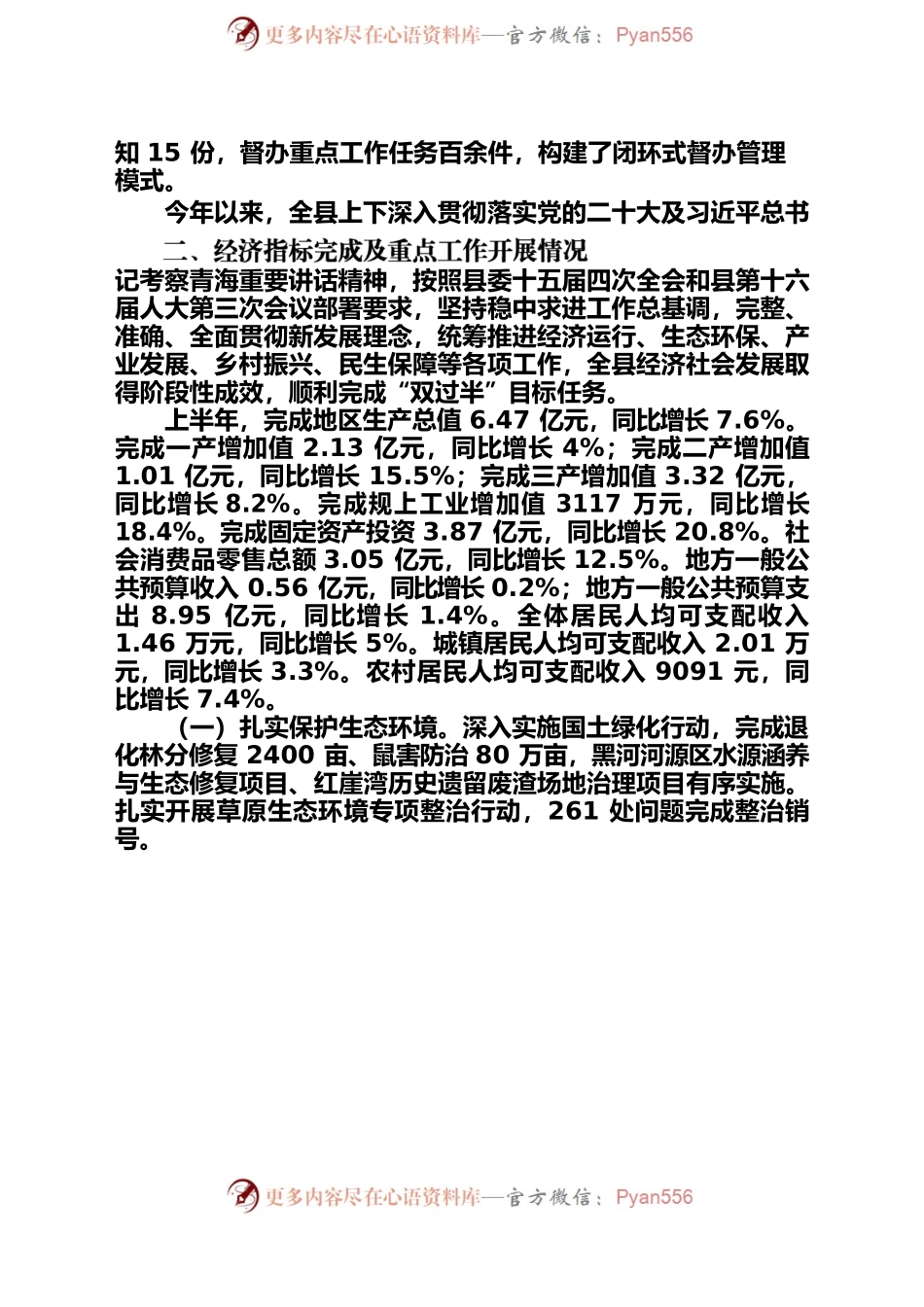 2023年政府党组工作汇报（完整稿）.docx_第2页
