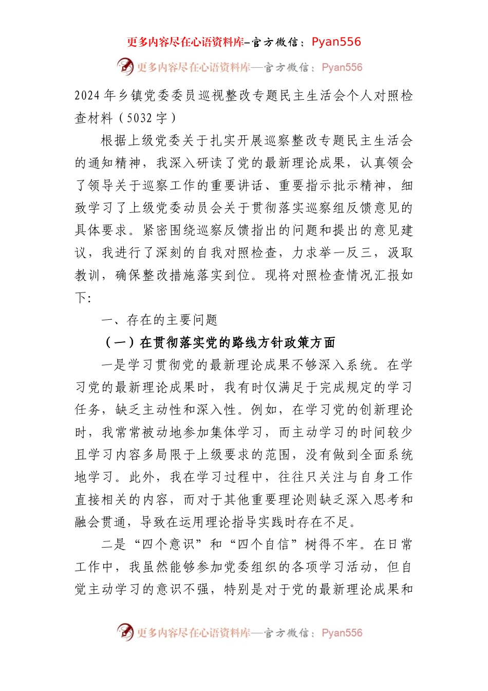 2024年乡镇党委委员巡视整改专题民主生活会个人对照检查材料（5032字）.docx_第1页