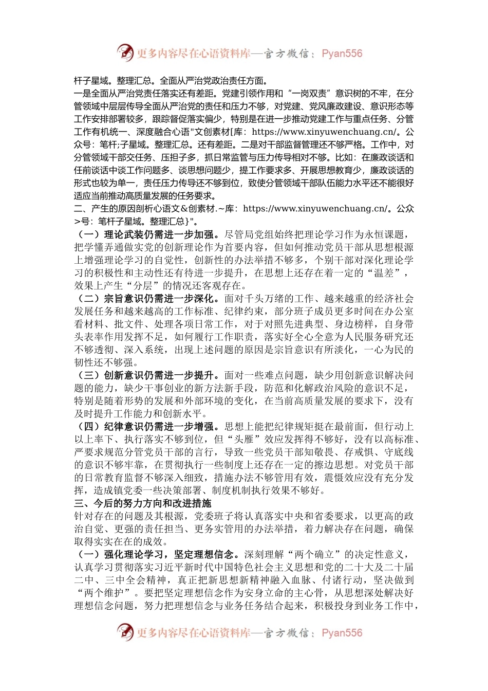 2024年度民主生活会领导班子对照检查材料（“四个带头”）.docx_第2页