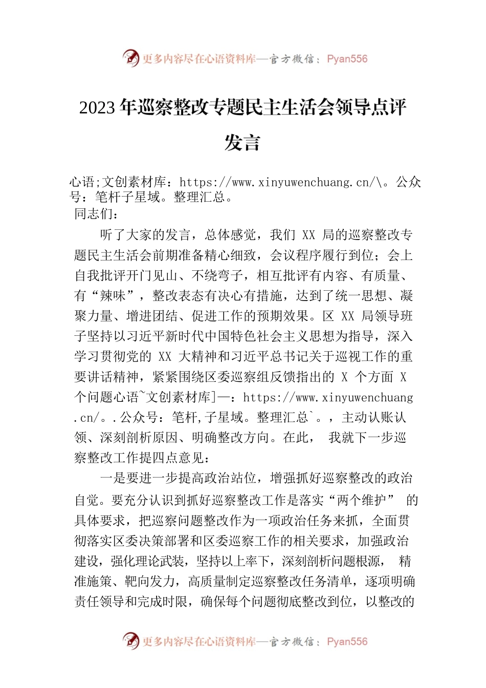 2023年巡察整改专题民主生活会领导点评发言.docx_第1页