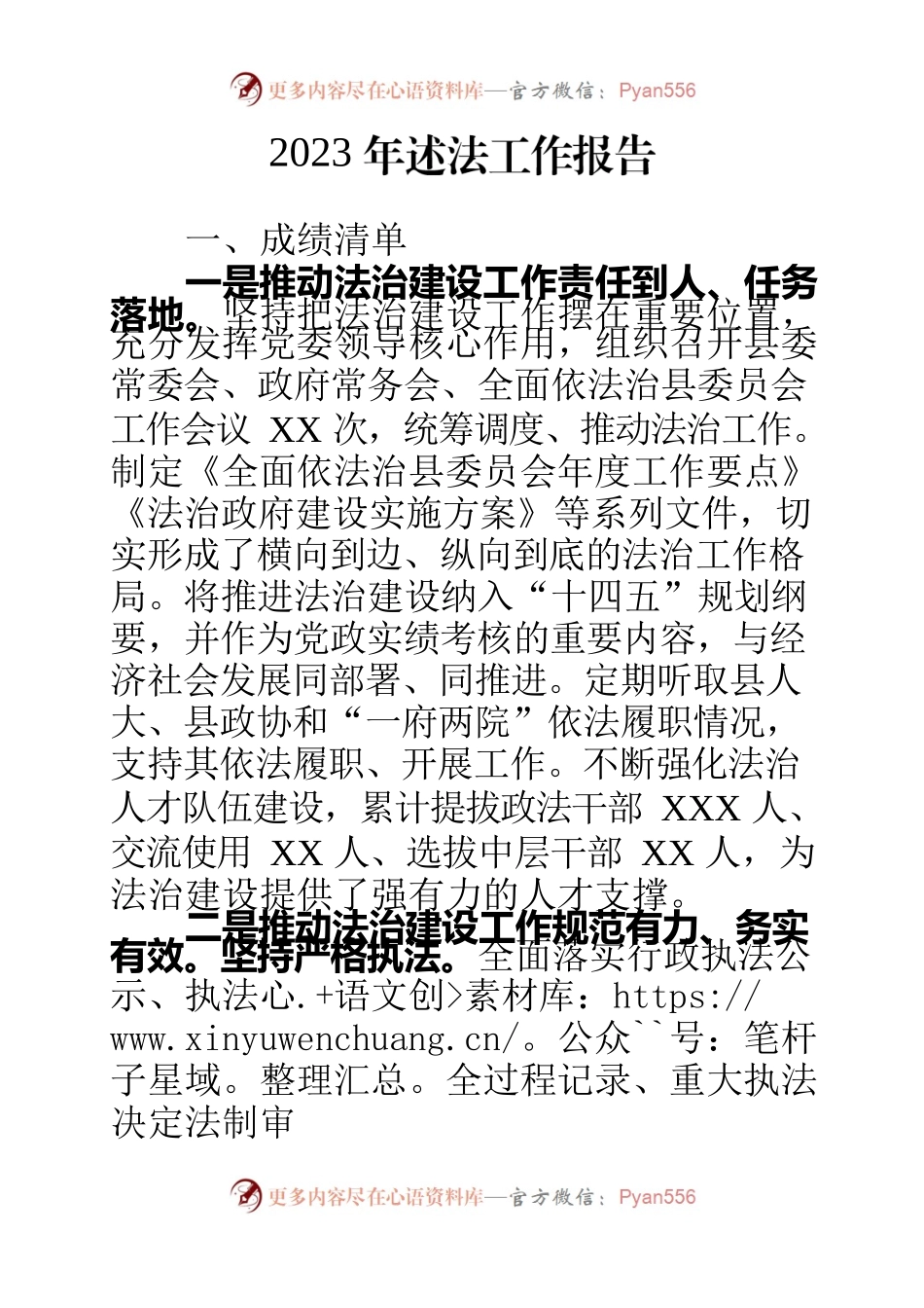 2023年述法工作报告.docx_第1页