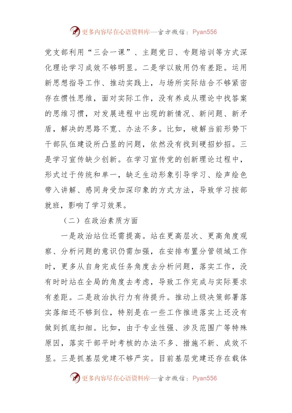 2023年度主题教育民主生活会个人对照检查（含政绩观、典型案例剖析）.docx_第2页
